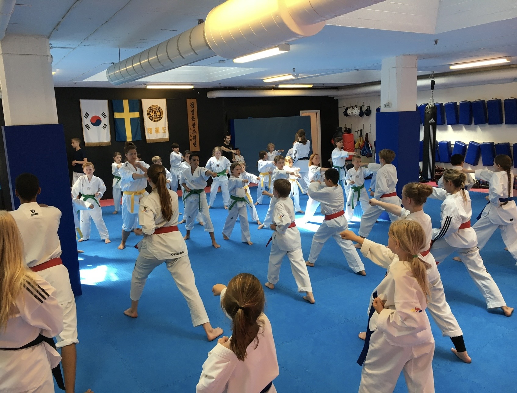Barn tränar Taekwondo hos JSK i Vasastan, Stockholm