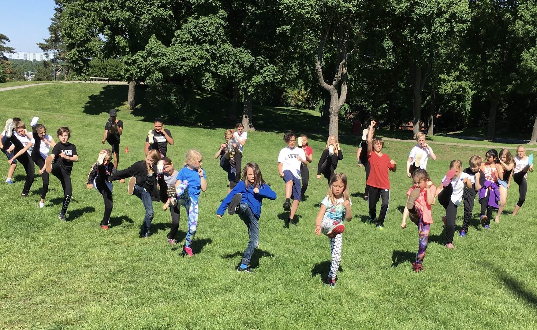 Barn tränar Taekwondo utomhus i park i Stockholm